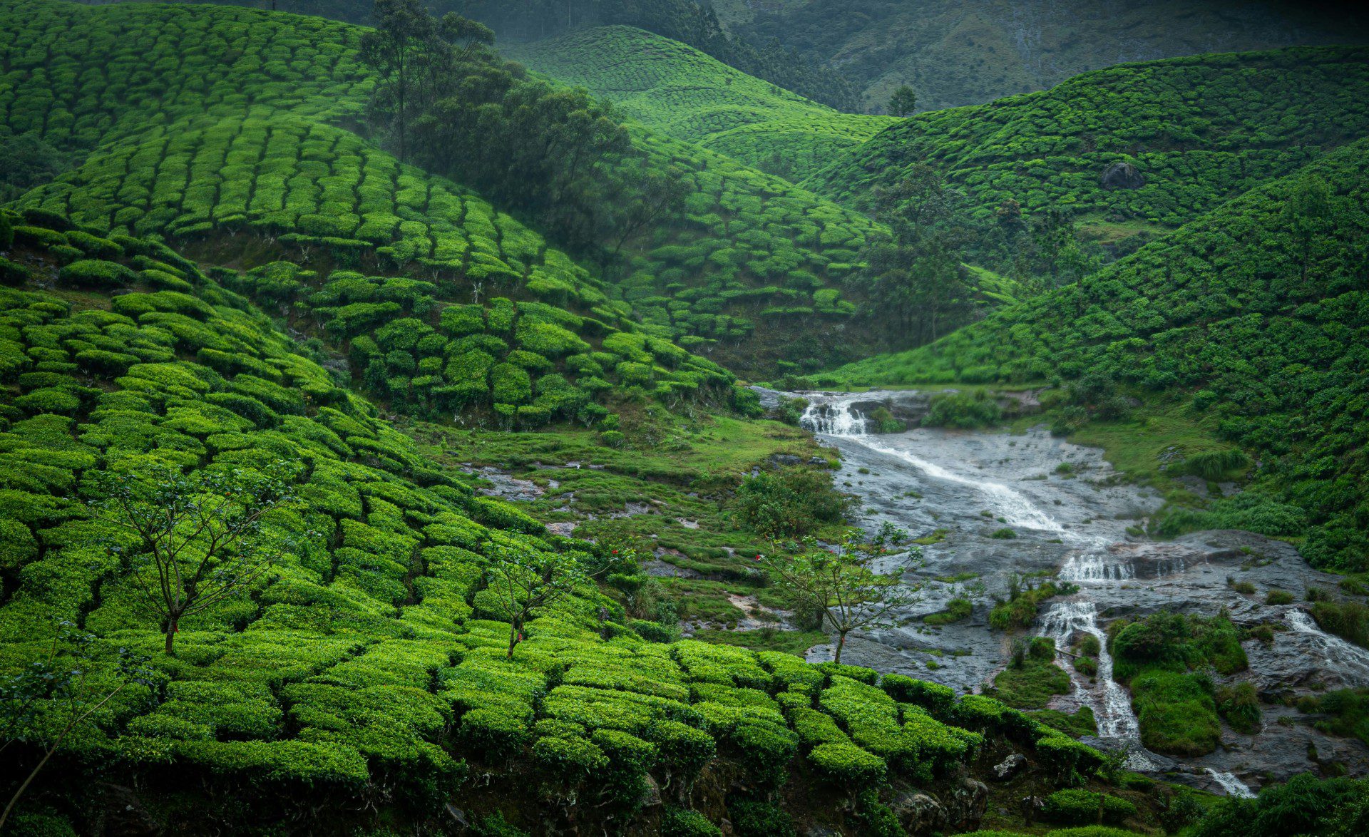 Munnar Hill Station